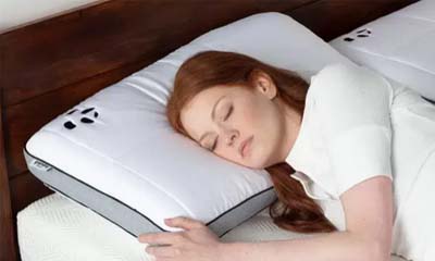 Free Panda Hybrid Bamboo Pillow